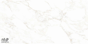 Керамогранит NT Ceramic Marmo Marble Extra Endless Mat арт. NTT99526M (60x120) матовый